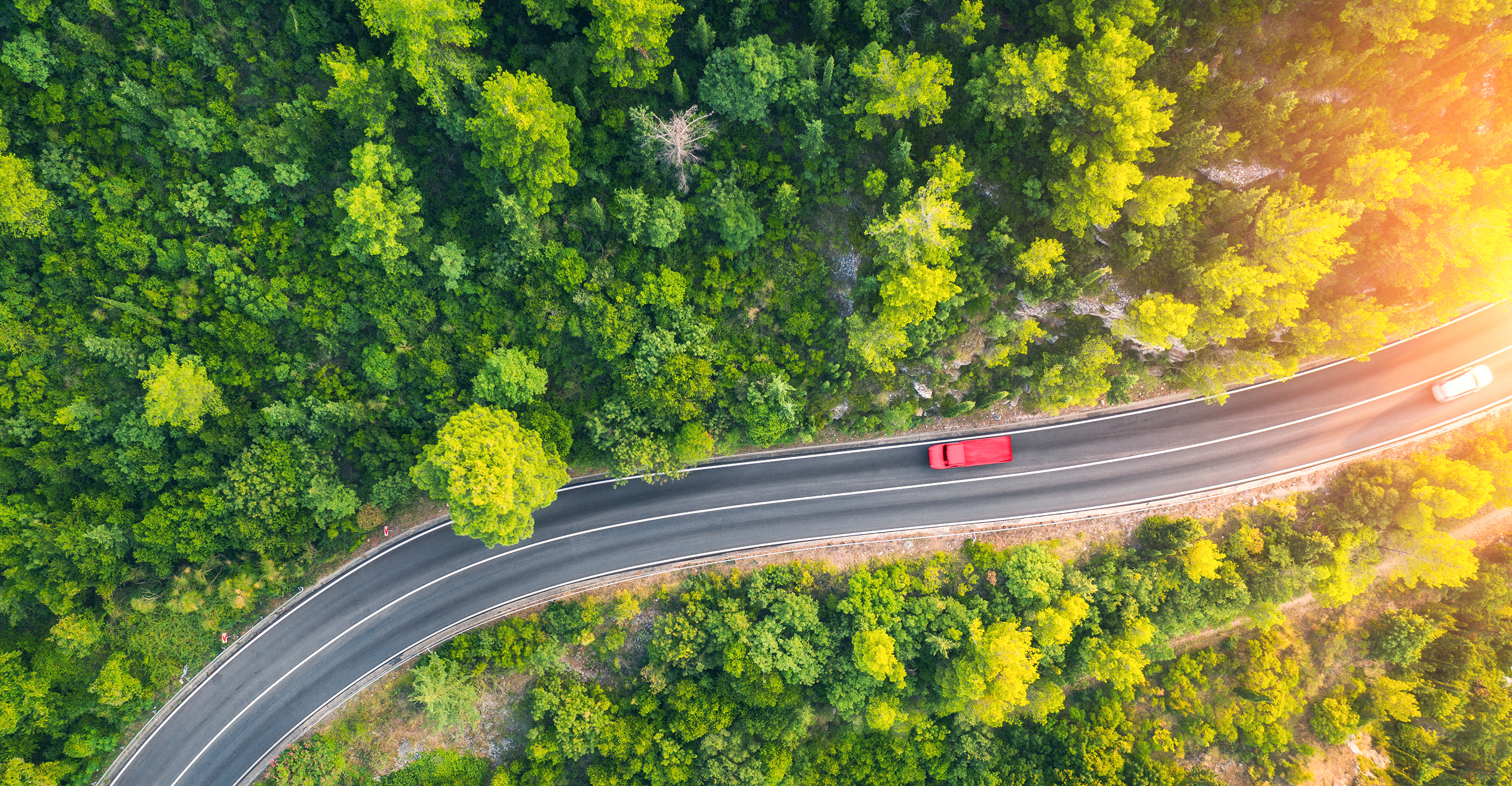 Drone view image of a car driving through the forest
